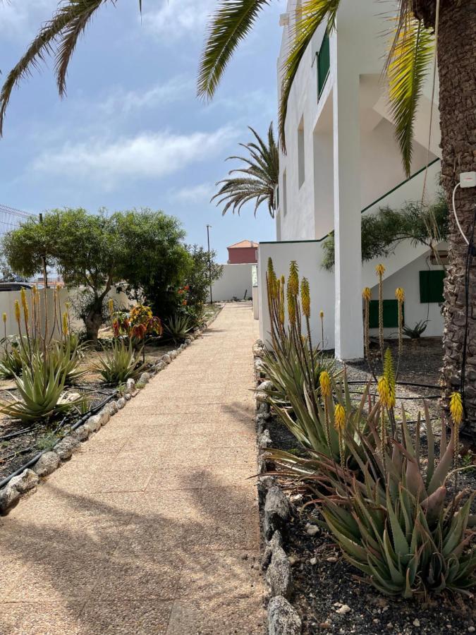 Casa Palmera Costa De Antigua Exteriör bild